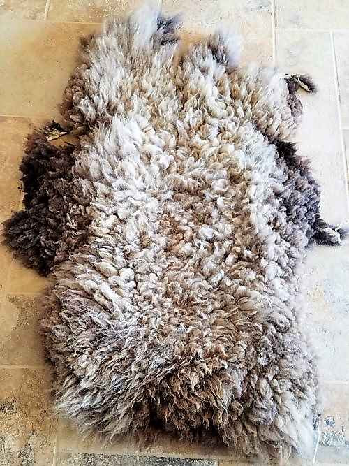 Grassfed Sheep Skin, Multi-color - Ramstead Ranch