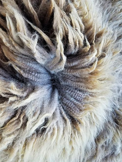 Grassfed Sheep Skin, Multi-color - Ramstead Ranch