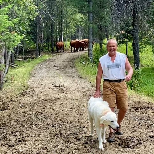 Stan-and-khan-move-cows.jpg