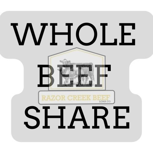 BEEF SHARES