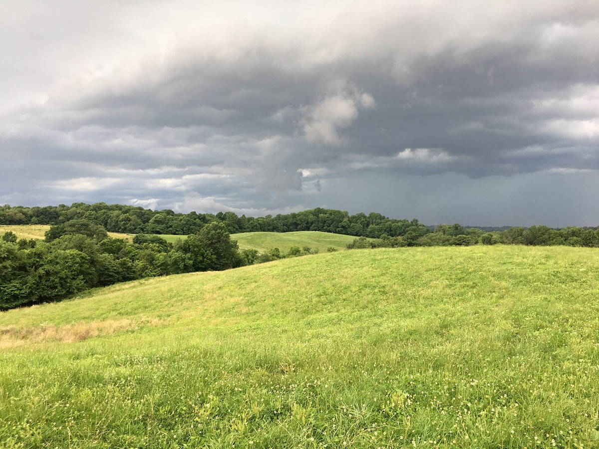 About Our Farm Rhodes Family Farm