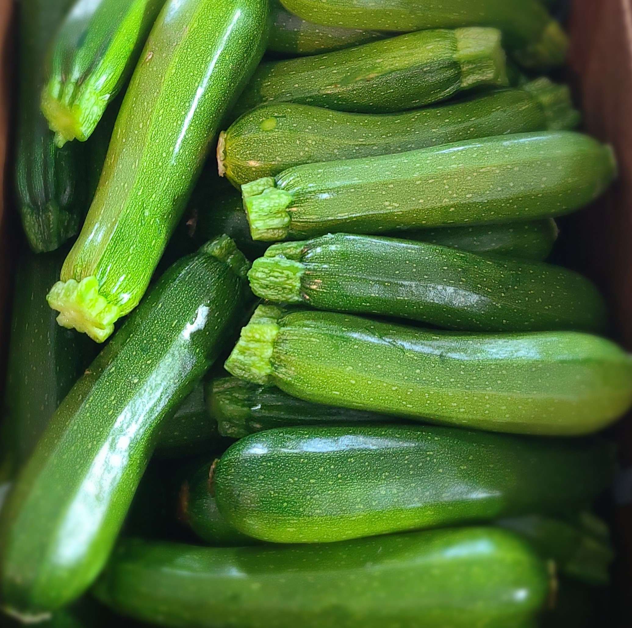 Zucchinis Rolling Greens & Goods