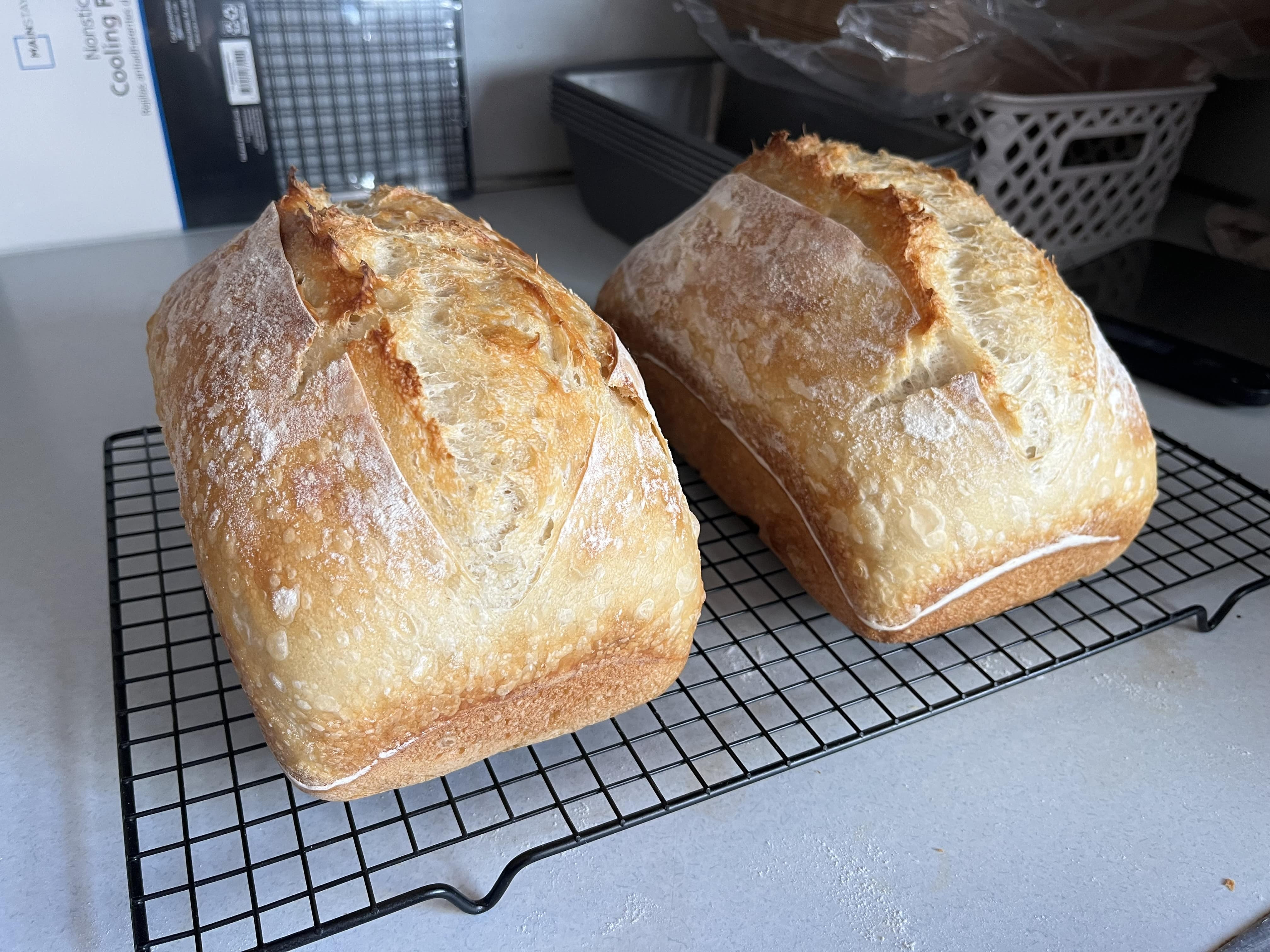 SOURDOUGH BREADS