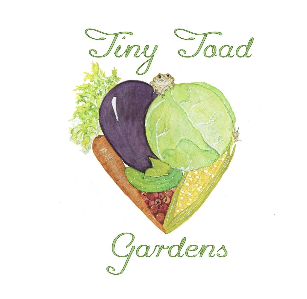 Tiny Toad Gardens