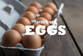 eggs-words.jpg