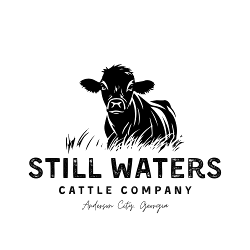 Still Waters Cattle Company Logo