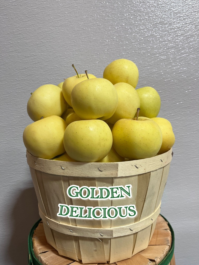 Apple - Golden Delicious