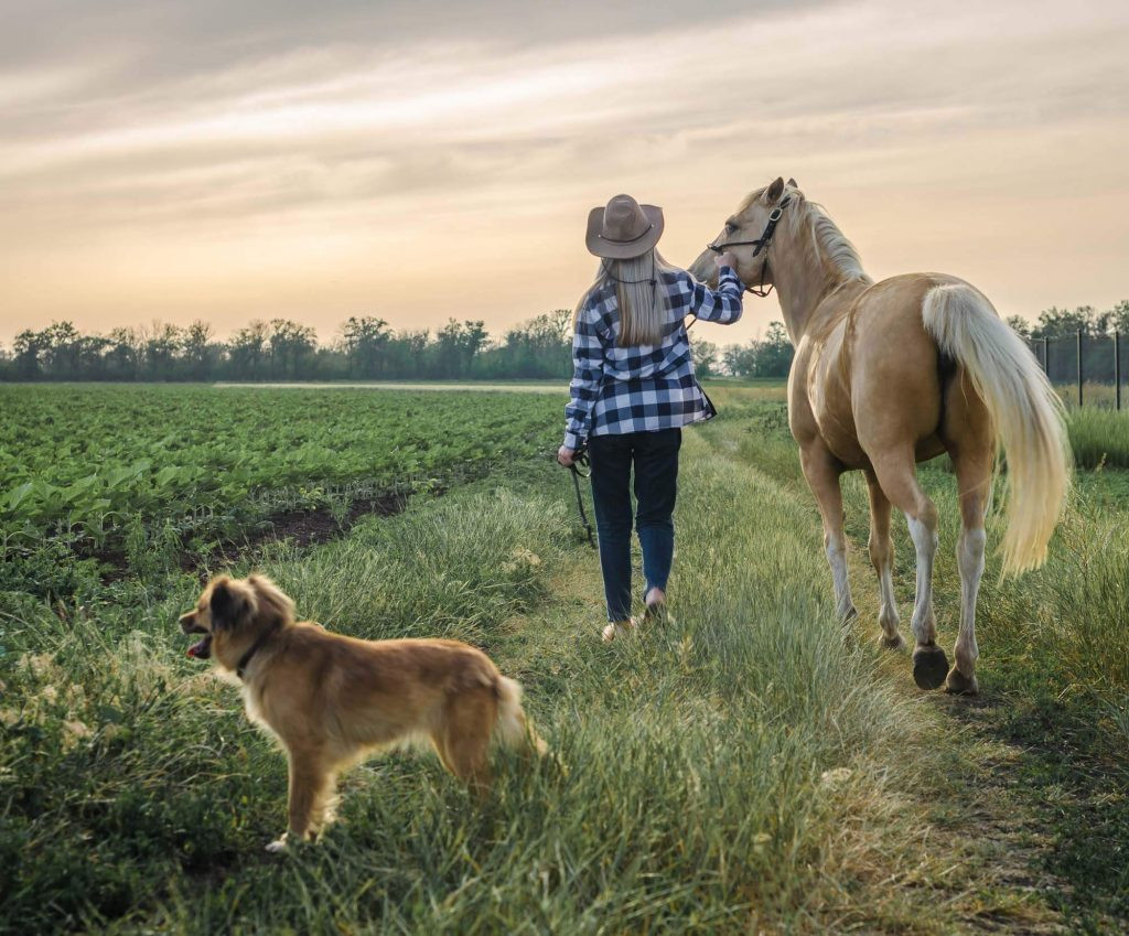 Targetvet Caring for your animals with easy tests, Advanced, Accurate