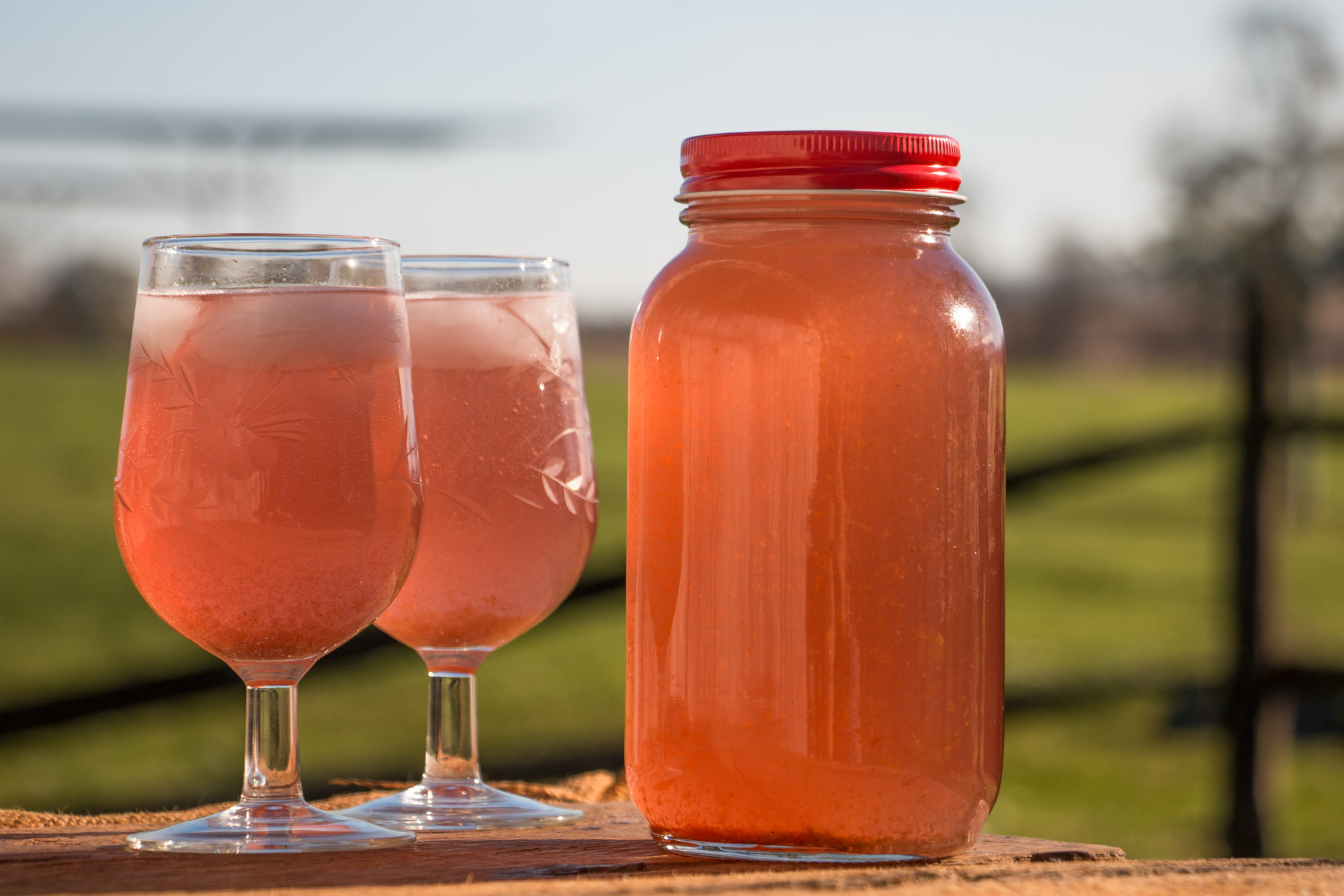 Orange Cranberry Water Kefir The Family Cow