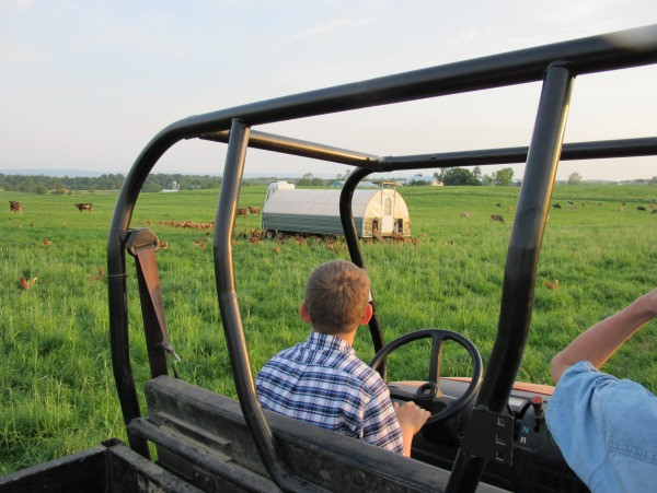 Here-we-are-at-the-pastured-hens.jpg