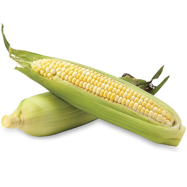 Corn