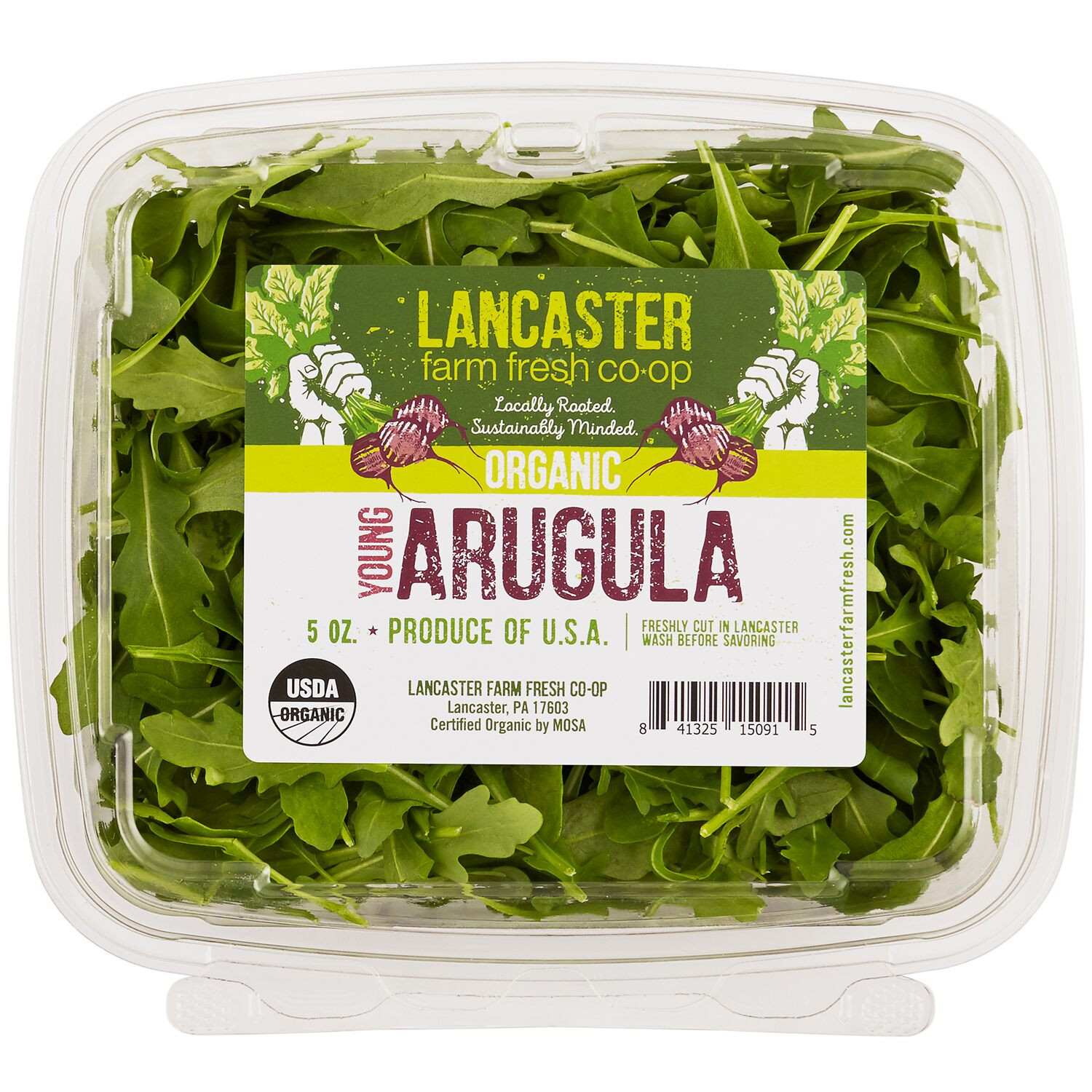 Arugula, Lancaster