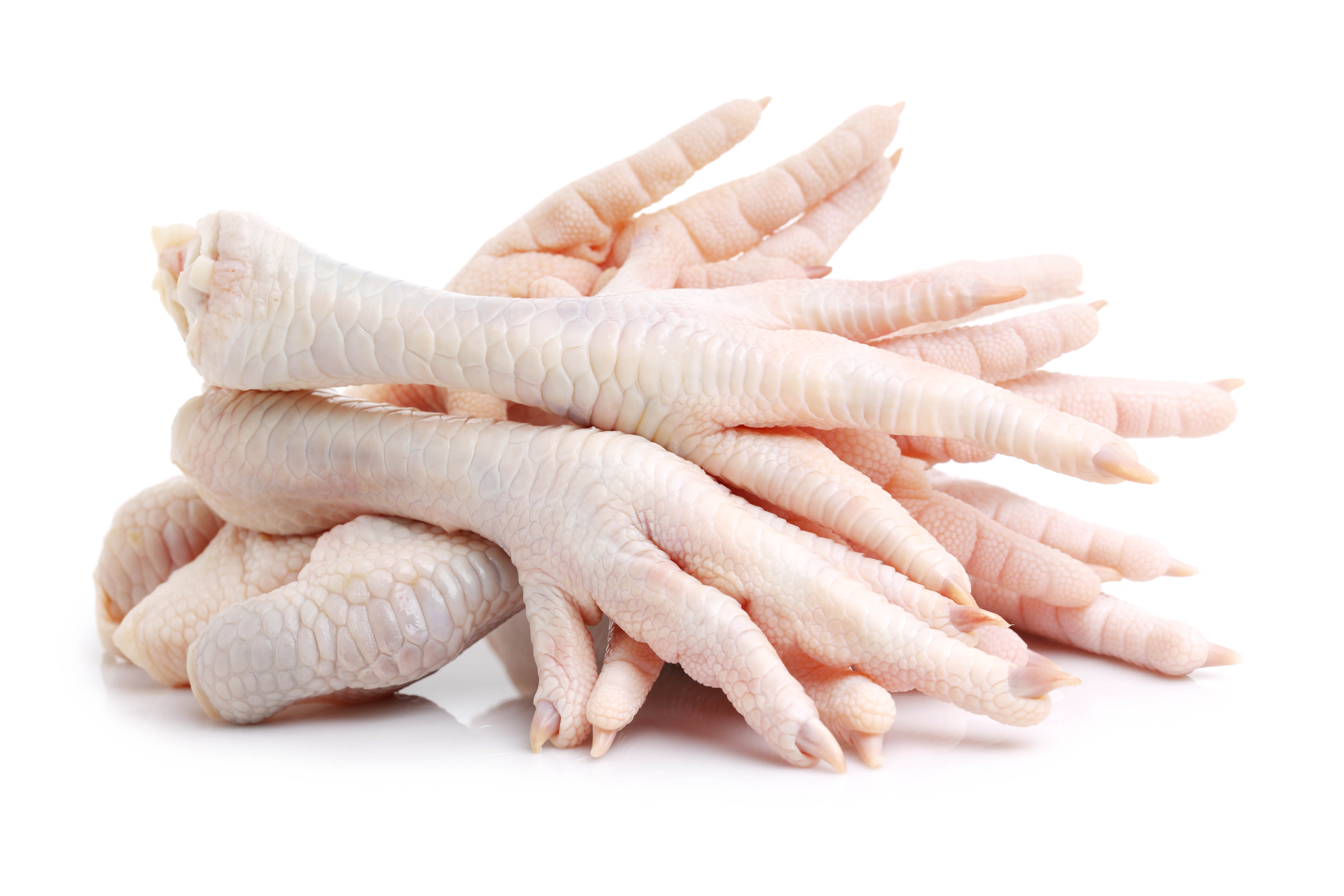Turkey Feet Pure Pasture Farms