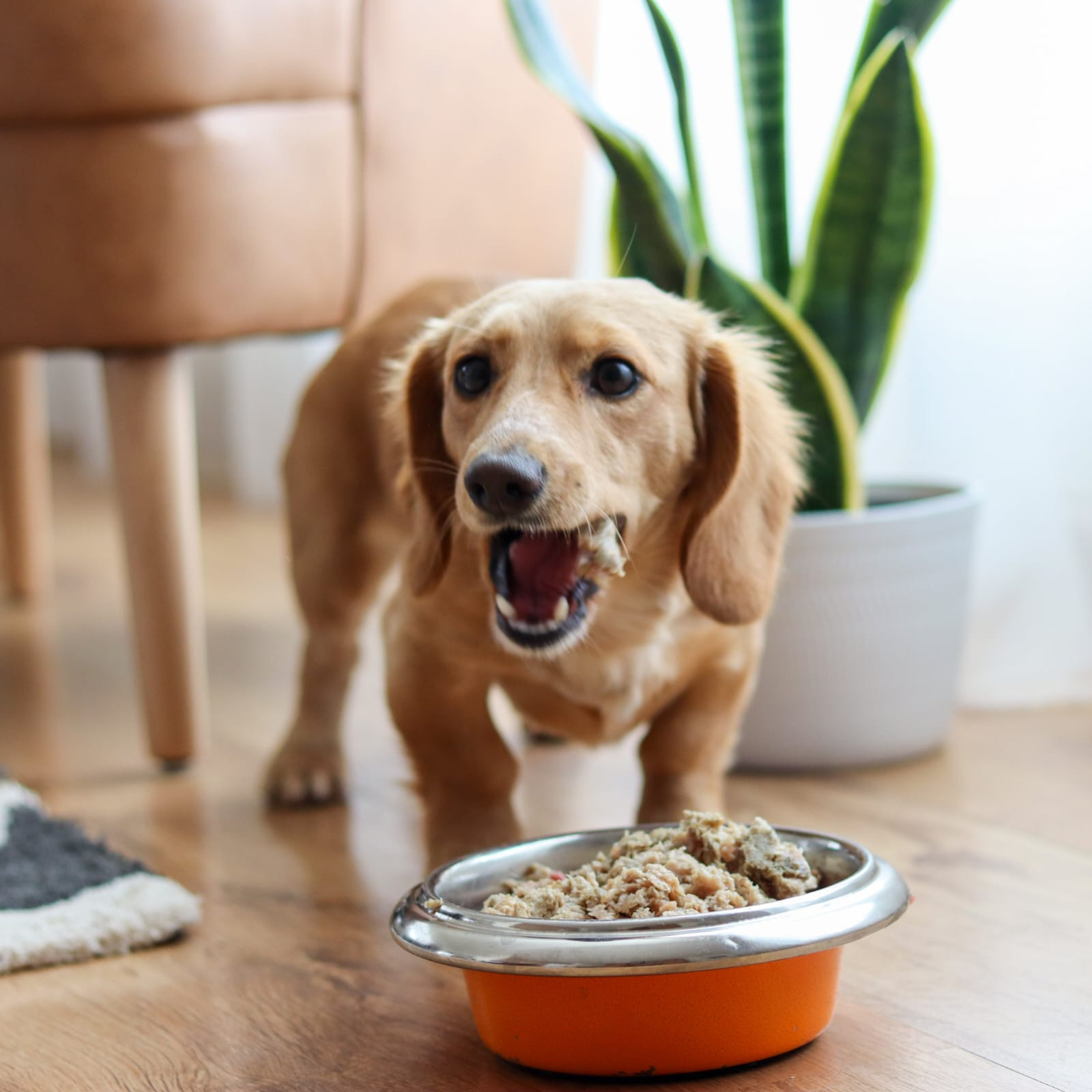 What is the 80-10-10 Blend and Why Does it Work?