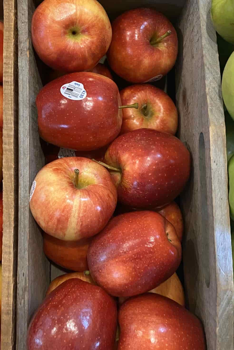 Apples, Gala Trombly Gardens, LLC