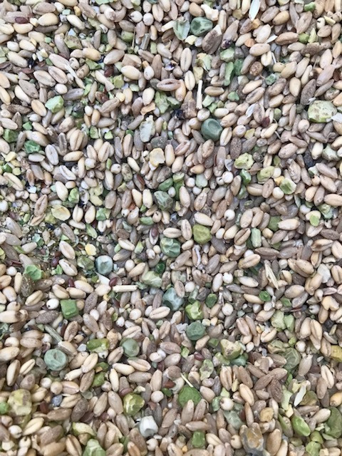 Bulk Broiler Grower