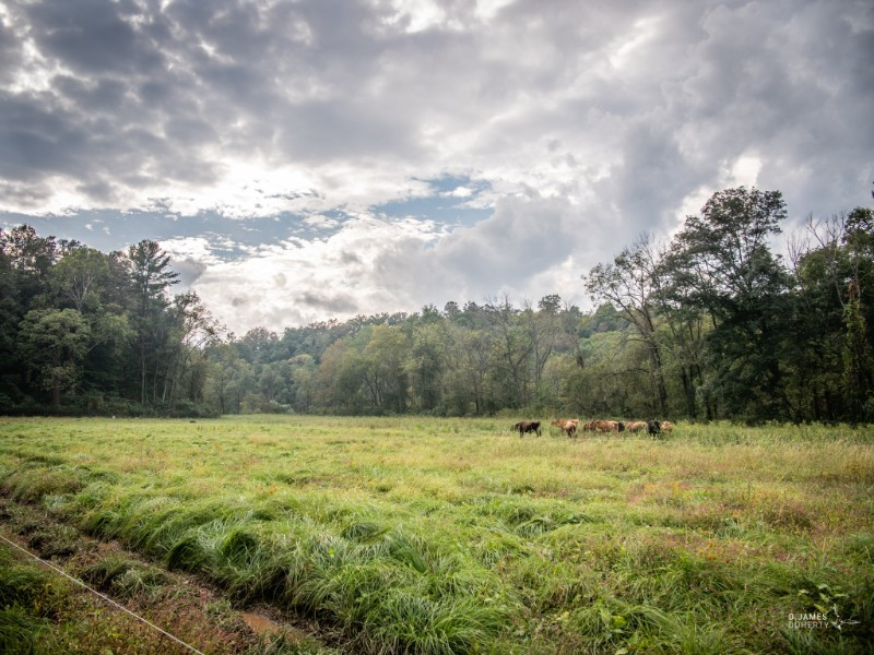 About us Wandering River Farm