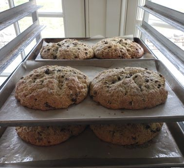 Irish Soda Bread with Currants