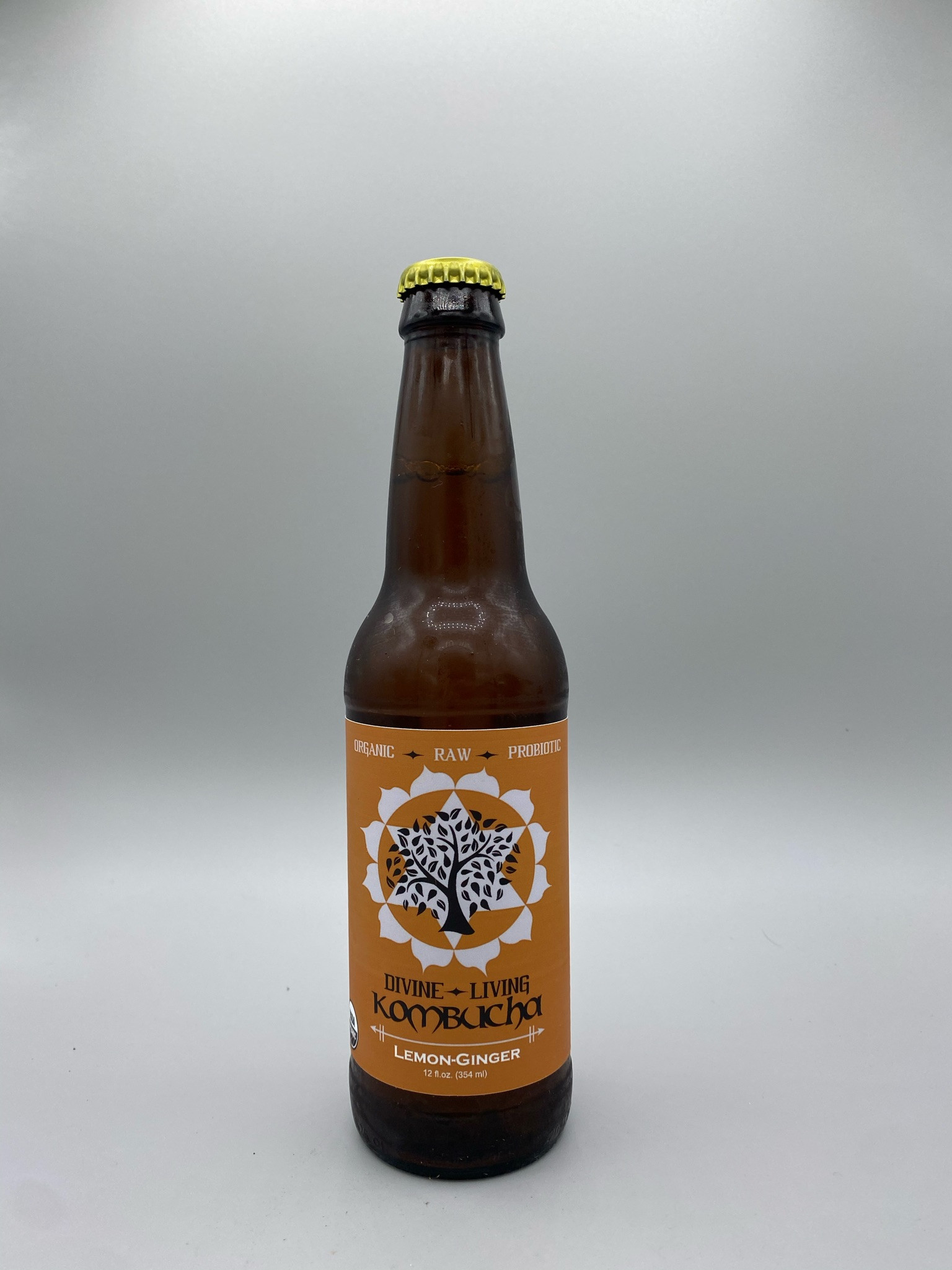 Kombucha Lemon Ginger ZOE Farms