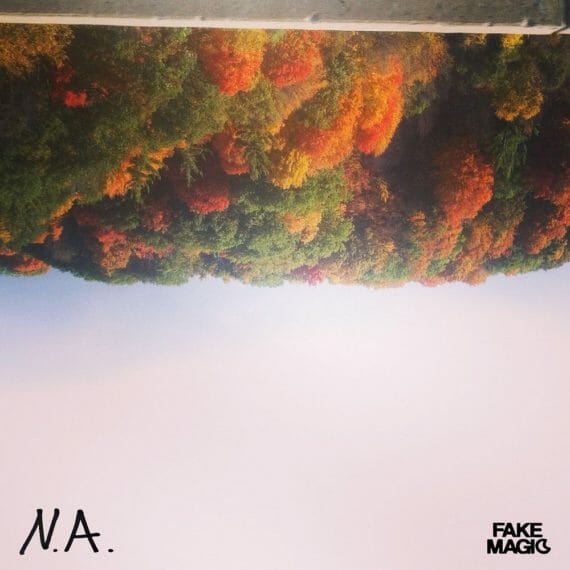 Fake Magic - N.A.