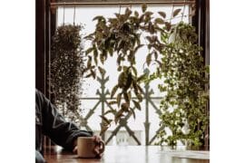 Jacob Rose, “We Keep Trying (To Make Something New)”