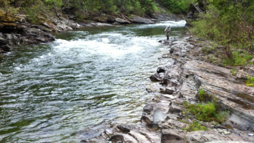 Gunpowder Fall Fishing