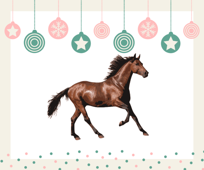 Christmas at Dolly Parton's Stampede Pigeon Coupon Green