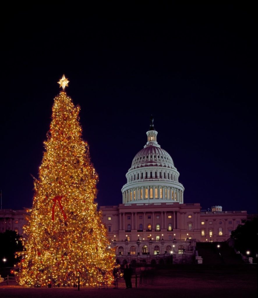 Washington, D.C., Christmas Lights Tour Coupon Green Vacation Deals