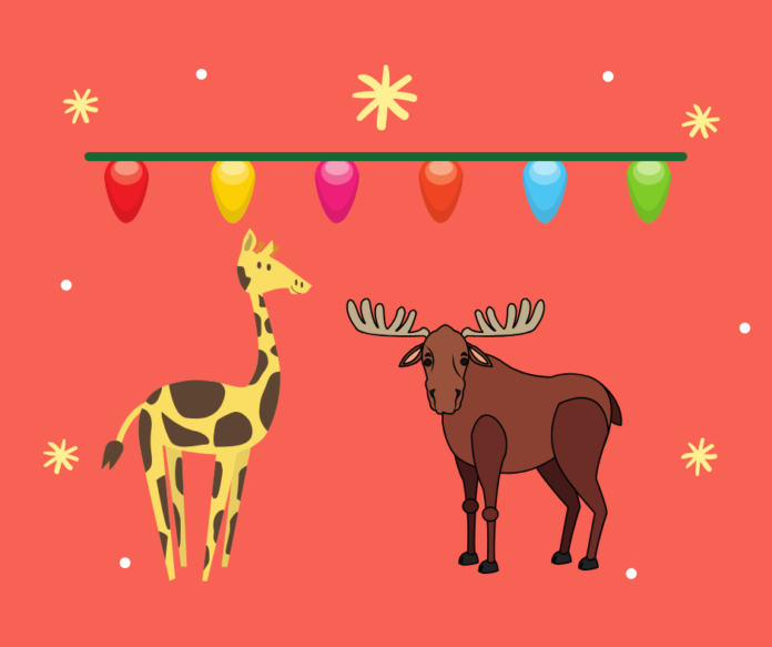 Electric Safari Cheyenne Mountain Zoo Coupons | Green Vacation Deals