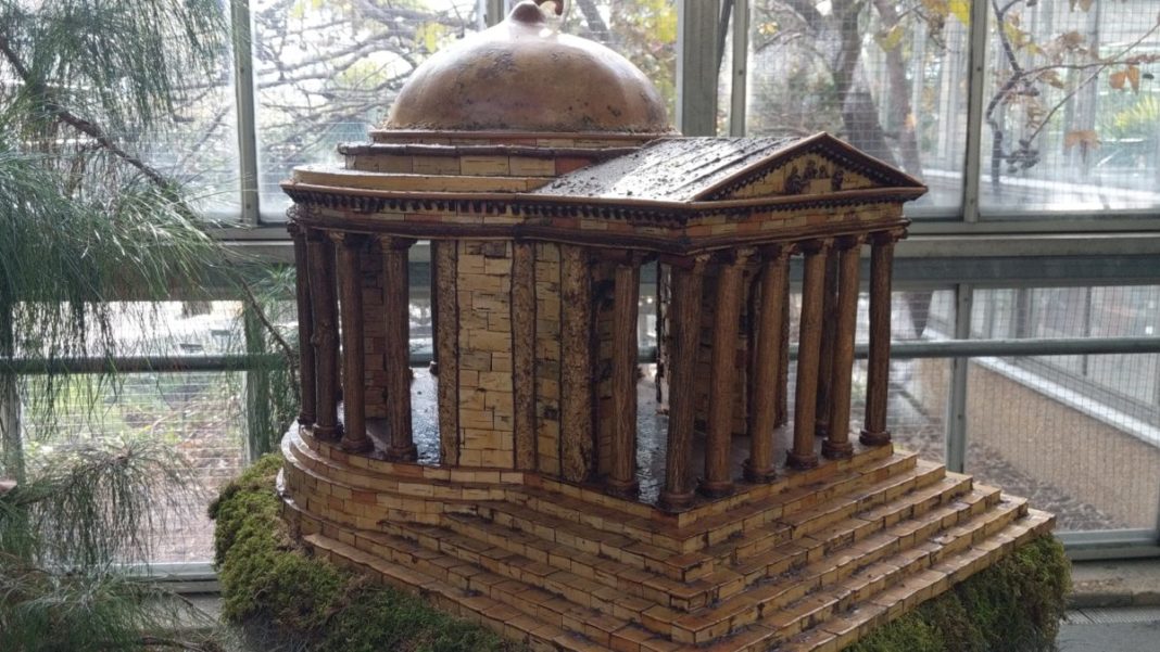 Washington DC Botanic Garden Christmas Exhibit: Season Greenings