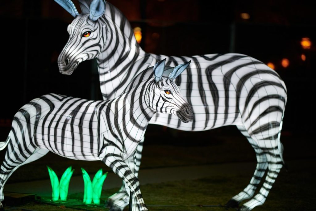 Coupon For Bronx Zoo Holiday Lights Green Vacation Deals