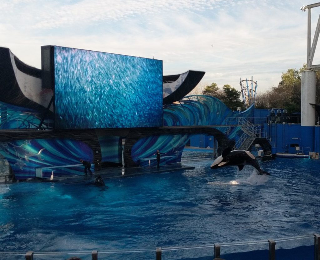 florida resident cruise deals