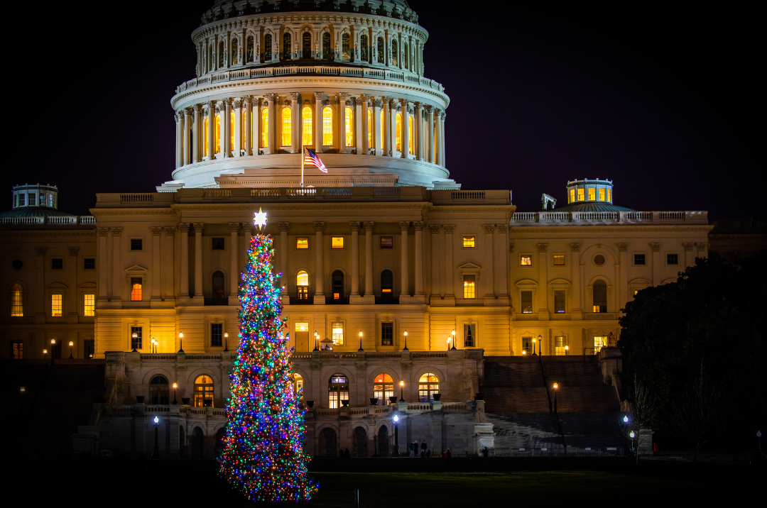 Nighttime Washington DC Christmas Lights Bus Tour Coupon Green