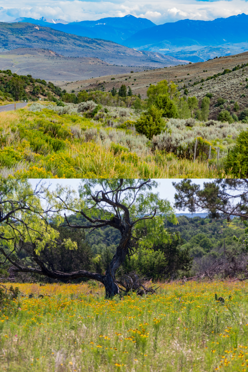 Win A Trip To Hill Country, Texas, Or Hill Wolcott, Colorado | Green ...