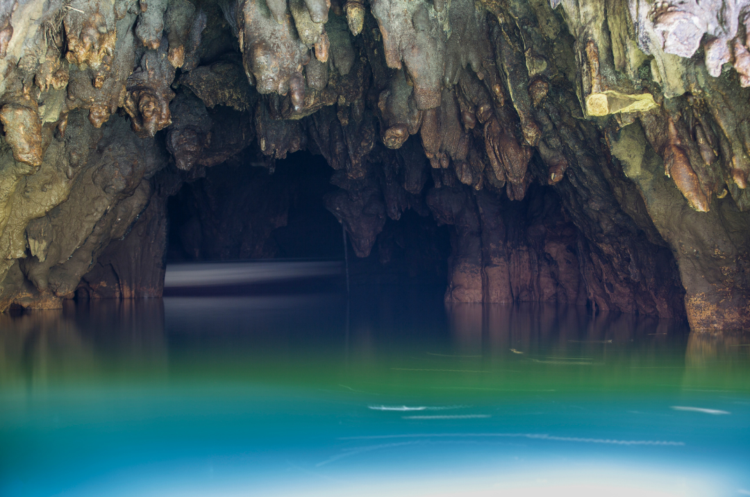 Waitomo Glowworm Caves Promo Code Green Vacation Deals