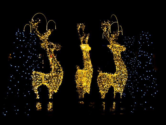 Enchant Christmas Dallas Promo Code Green Vacation Deals