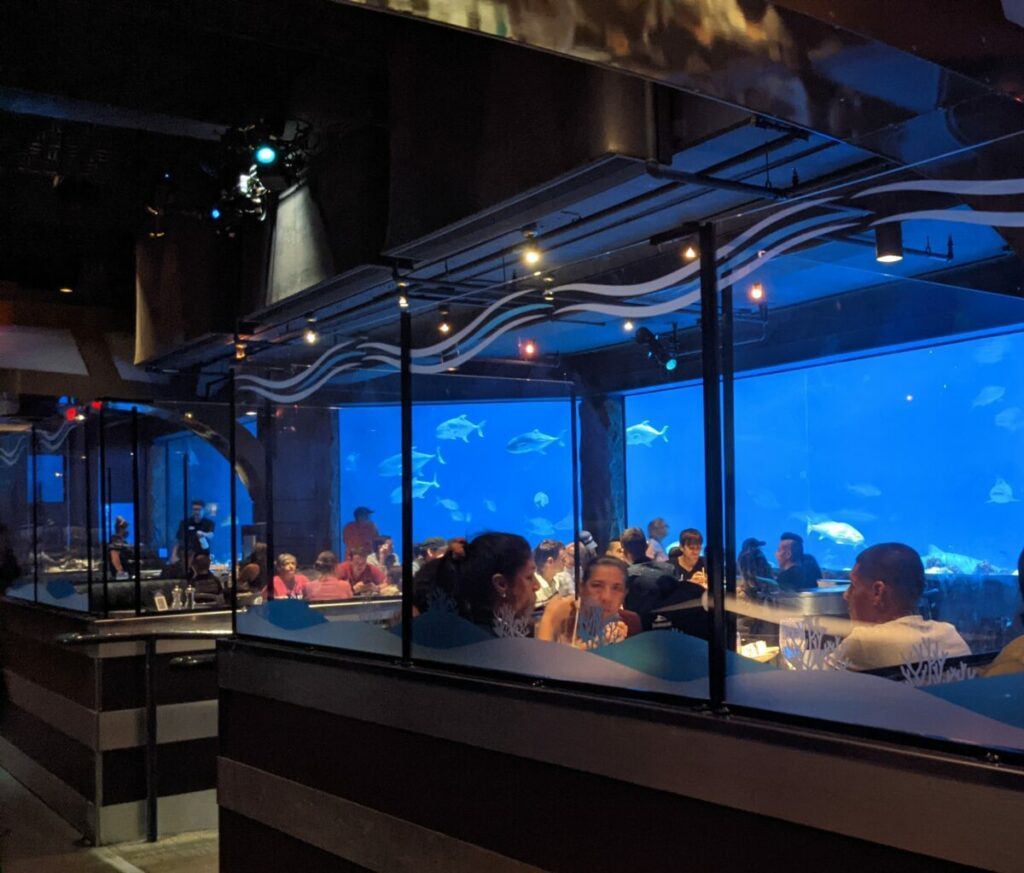SeaWorld Orlando Holiday Dining at Sharks Underwater Grill Review