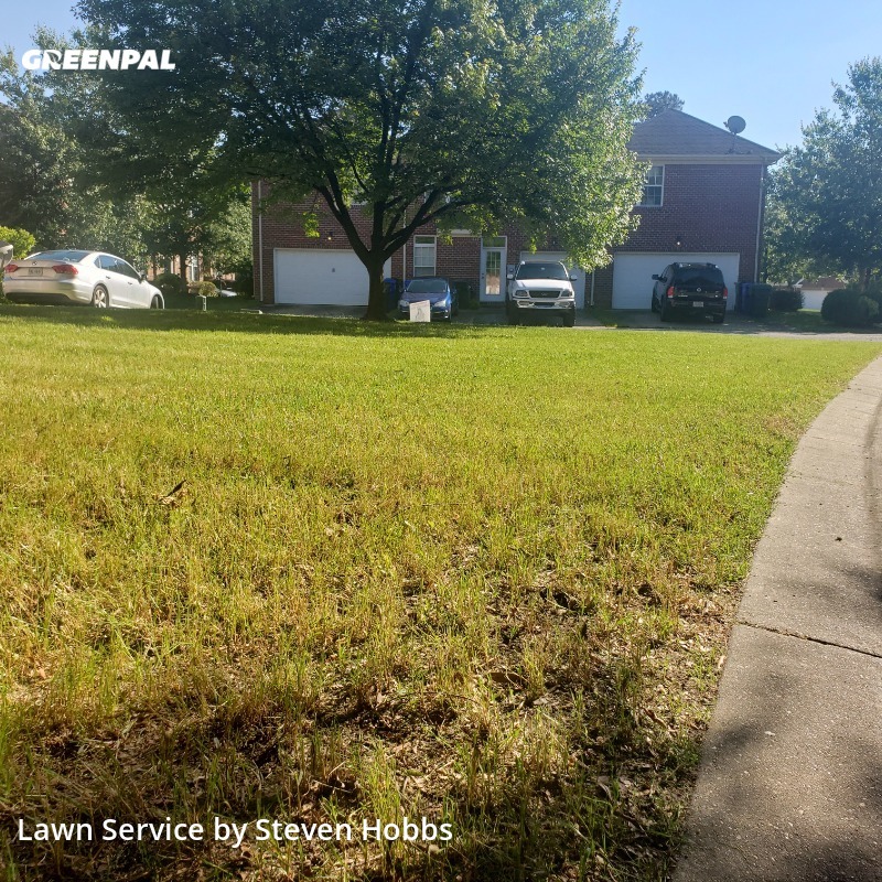 The 10 Best Lawn Care Services in Suffolk, VA from 39