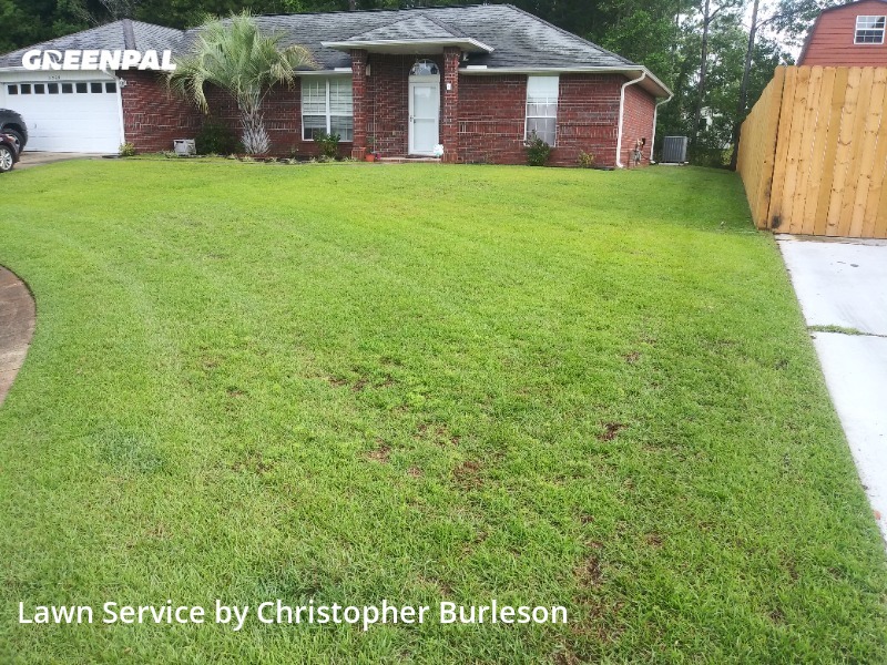 Top Pensacola, FL Lawn Care Services & Lawn Mowing from 39