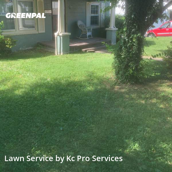 The 10 Best Lawn Care Services in Knoxville, TN from 39
