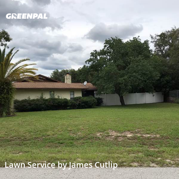 The 10 Best Lawn Care Services in Spring Hill, FL from 24