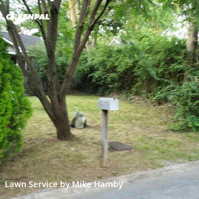 Tennessee Lawn Guys Lawn Care Services In Nashville