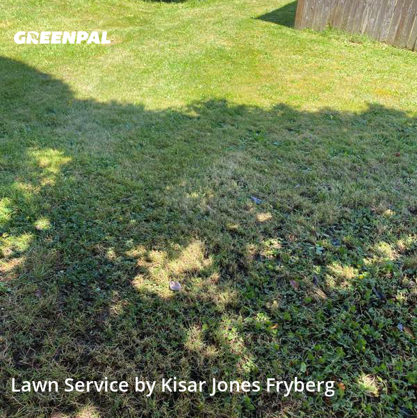 The 10 Best Lawn Care Services in Everett, WA from 35