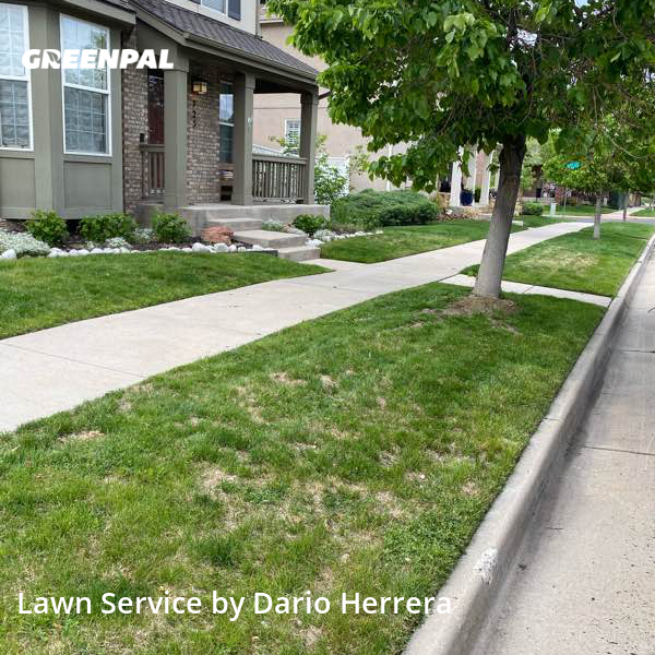 The 10 Best Lawn Care Services in Denver, CO from 37