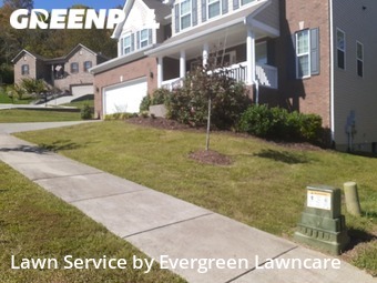 Evergreen Lawncare Lawn Care Services In Nashville