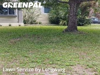 Lawn Care St Pete