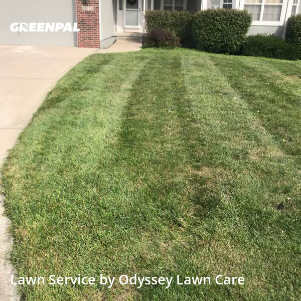 Get Lawn Care Services In Kansas City From Odyssey Lawn Care