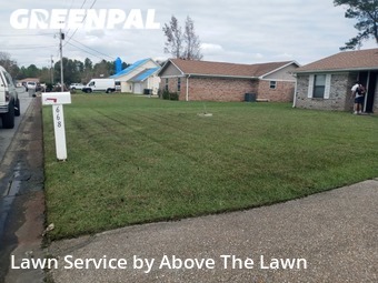 Top Pensacola, FL Lawn Care Services & Lawn Mowing from 39