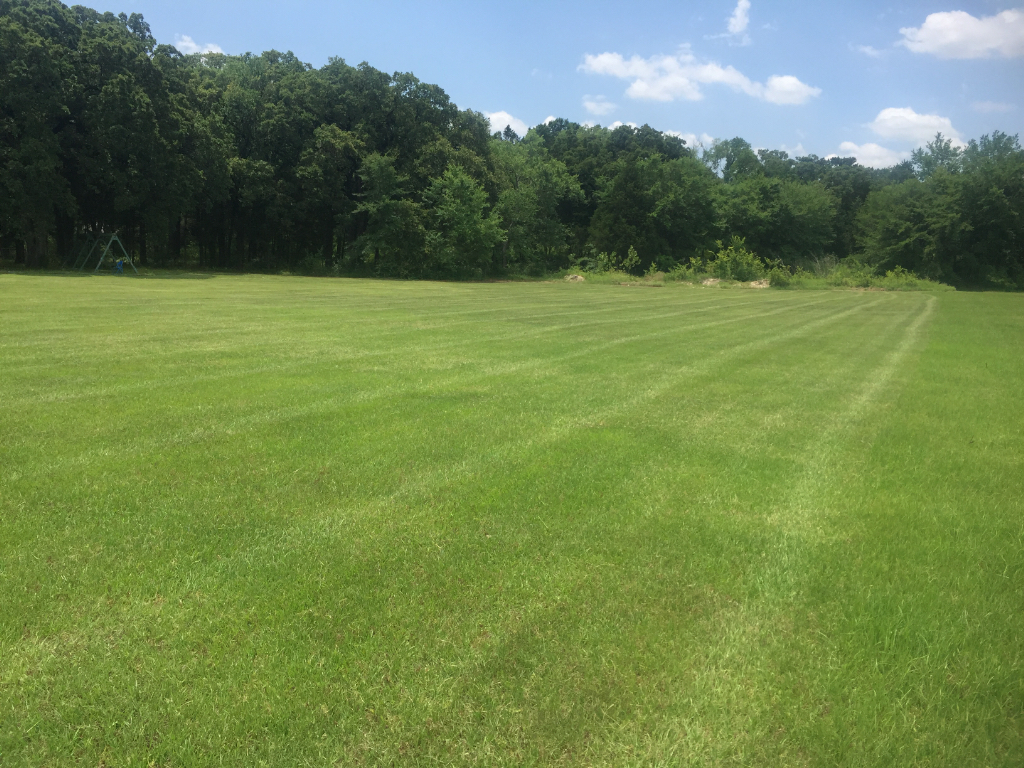 Lawn cutting work in Garland, TX Yard mowing company in Garland, TX, 75041