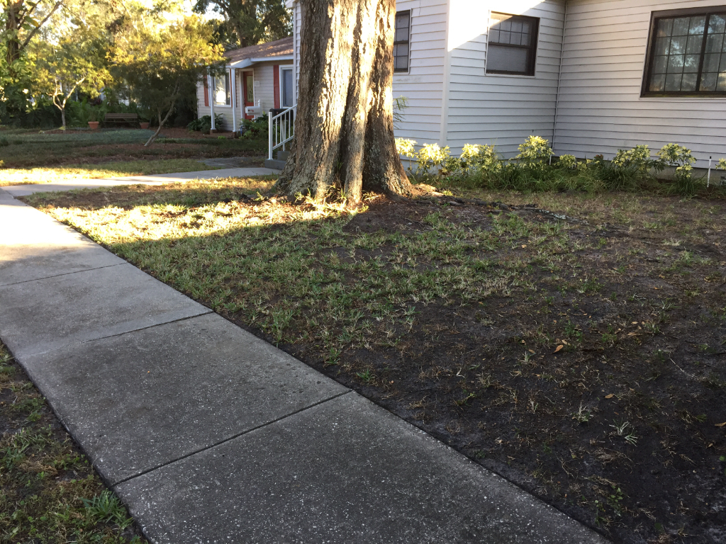Lawn Care Service St Petersburg, FL Lawn Care Service in St Petersburg, FL, 33713